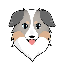 Australian Safe Shepherd icon